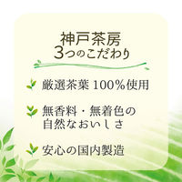【ジャスミン茶 ペットボトル】富永貿易 神戸茶房 ジャスミンティー 500ml 1箱（24本入）【国内製造 無香料 無着色】（わけあり品）
