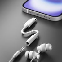 PGA 3.5mm to USB-C イヤホン変換アダプタ ホワイト PG-35CCN12WH 1個（直送品）