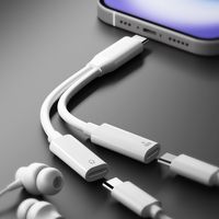 PGA USB-C充電ポート付 USB-C to イヤホン変換アダプタ ホワイト PG-TYCCHG02WH 1個（直送品）