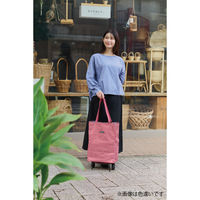 レップ ショッピングカート 折りたたみハンディトートカート 保冷保温 30L ストライプ ブルー 1台