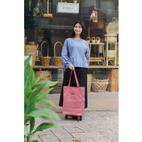 レップ ショッピングカート 折りたたみハンディトートカート 保冷保温 30L ストライプ レッド 1台