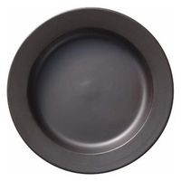 シャディ 【3個セット】マジカリーノ レンジで発熱する皿(20cm) 24-8217-756 1セット(3個)（直送品）