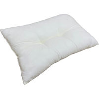 シャディ 【2袋セット】ウォッシャブル枕 24-8219-830 1セット(2袋)（直送品）