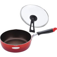 シャディ 【2箱セット】モデロス スーパーディープパン(24cm)ガラス蓋付 24-8264-630 1セット(2箱)（直送品）