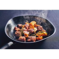 シャディ 柳宗理 マグマプレートフライパン(22cm)蓋付 24-8275-047 1箱（直送品）