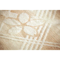 シャディ 肌にやさしい自然色の綿毛布 24-8321-286 1箱（直送品）