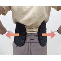 シャディ REBODY+(リボティプラス) 24-8322-037 1箱（直送品）