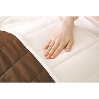 シャディ ゼンケン 電磁波99%カット 足入れ電熱マット 24-8364-147 1箱（直送品）