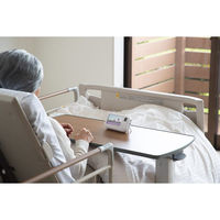 シャディ 大画面ポータブルTV&ラジオ 24-8378-432 1箱（直送品）