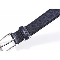 シャディ ポールスチュアート ベルト 24-8963-211 1箱（直送品）