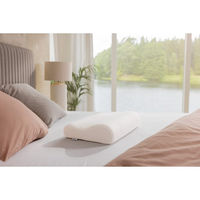 シャディ テンピュール オリジナルピロー 25-0046-025 1箱（直送品）