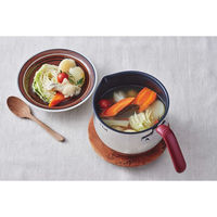 シャディ ティファール オプティスペース IHステンレスマルチポット(16cm) 25-0268-028 1箱（直送品）