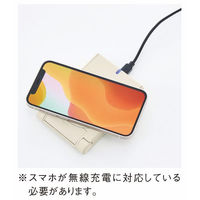 シャディ 【2箱セット】ポケットワイヤレスチャージャー 25-0531-055 1セット(2箱)（直送品）