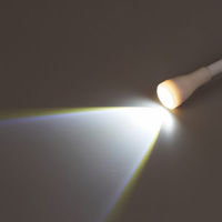 シャディ 【10箱セット】両手が使えるLEDクリップライト 25-0600-049 1セット(10箱)（直送品）