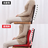 ファミリー・ライフ 背筋サポートリクライニングチェア 同色2個組 ブラック 0437920 1セット（2台入）（直送品）