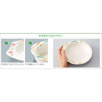 三信化工 小鉢 UMS-41RMIKA 1個（直送品）