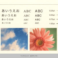 竹尾 心づく紙 竹簀の目 クリーム A4 10枚入 1747167 1セット(1袋×3)（直送品）