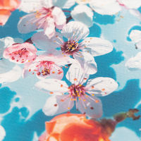 竹尾 DEEP PV ノビ モロー A3 10枚入 2000005 1個（直送品）