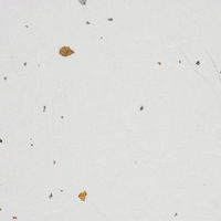 竹尾 心づく紙 金銀砂子入り雲龍 A4 10枚入 白 1743039 1セット(1袋×3)（直送品）