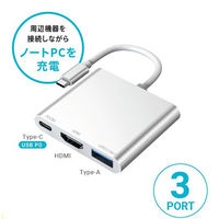 磁気研究所 Type-Cポートから複数の機器を同時接続 Type-C 3in1 USBハブ HD-3IN1HBSV 1個（直送品）