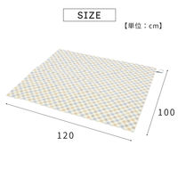 武田コーポレーション コンパクトレジャーシート CSL25-120 1箱(50個入)（直送品）