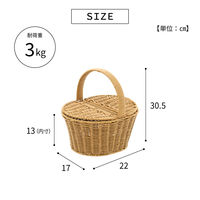 武田コーポレーション ピクニックバスケット PPB24-30 1箱(4個入)（直送品）