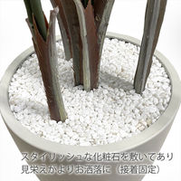 【軒先渡し】URBAN フェイクグリーン アレカヤシ 幅800×奥行800×高さ1400mm グレー ARE-140GY 1台（直送品）