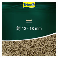 テトラ レプトミン カメ用フード 汚れブロック 大粒 200g 5個 スペクトラムブランズジャパン