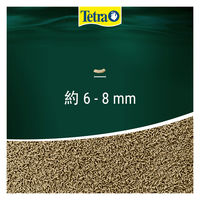 テトラ レプトミン カメ用フード 汚れブロック 中粒 70g 3個 スペクトラムブランズジャパン