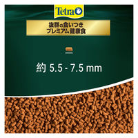 テトラ レプトミン スーパー カメ用フード 中粒 80g 3個 スペクトラムブランズジャパン