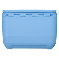 コールマン コールマンプロ/17QT(デイドリーム) 2218852 1個（直送品）