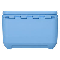 コールマン コールマンプロ/9QT(デイドリーム) 2218853 1個（直送品）