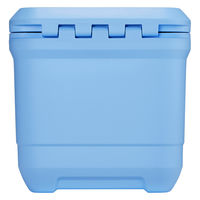 コールマン コールマンプロ/25QT(デイドリーム) 2218854 1個（直送品）