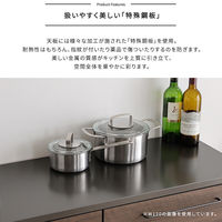 ホームテイスト Lugo(ルゴ) 特殊鋼板を使った キッチンカウンター ゴミ箱上カウンター ナチュラル SH-22-CKS60-B 1台（直送品）