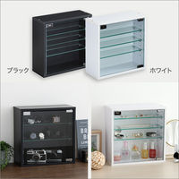 ホームテイスト コレクションキューブラック 浅型タイプ 幅347×奥行146×高さ345mm ホワイト QCLR-S14 1台（直送品）