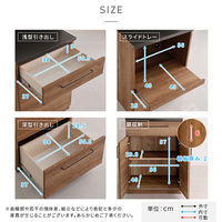 ホームテイスト ルゴ 特殊鋼板 キッチンカウンター オープン収納+扉収納 ウォールナット SH-22-CKS120-AD 1台（直送品）