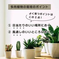 【園芸用品】 DAIM 多肉マンション ブラック 1個