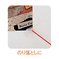 デビカ　とってもクリーナー（LL）　523004（わけあり品）