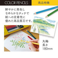 トンボ鉛筆 缶入り色鉛筆NQ 36色セット CB-NQ36C 1個（わけあり品）