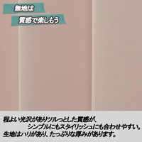 ユニベール ベルーイピーチ W100xH120 4548654712482 1組(2枚)（わけあり品）