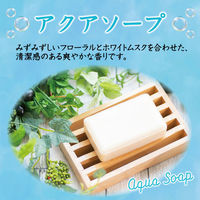 トイレの消臭力スプレー アクアソープ 365ml エステー（わけあり品）