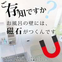 お風呂の壁にマグネット 石けん皿 【 浴室収納 】レック(B00077)（わけあり品）