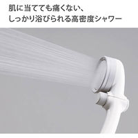 タカギ キモチイイシャワピタWS JSB021 1個（わけあり品）