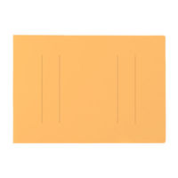 プラス フラットファイルB4E縦罫線タイプYL 98217 1冊（わけあり品）