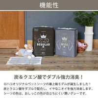 ペットシーツ 炭＋クエン酸 レギュラー 厚型 プレミアム 国産 80枚 1袋 ペットシート オリジナル（わけあり品）