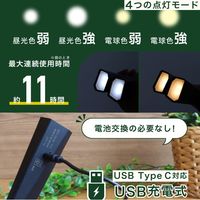 ドリテック 首かけライト ブラック  FLー147BK 1個