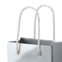 手提げ紙袋小物用　丸紐　シルバー　M　1袋（5枚入）　ハピラ（わけあり品）