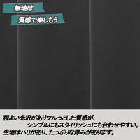 ユニベール ベルーイブラック W100xH210 4548654712734 1組(2枚)（わけあり品）