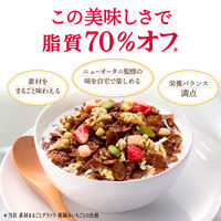 素材まるごとグラノラ 脂質70%オフ 華やぐフルーティショコラ 380g 1袋 日本ケロッグ シリアル