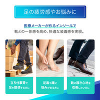 メディエイド アシストインソール アーチ＆グリップ LL 492004 1足 日本シグマックス